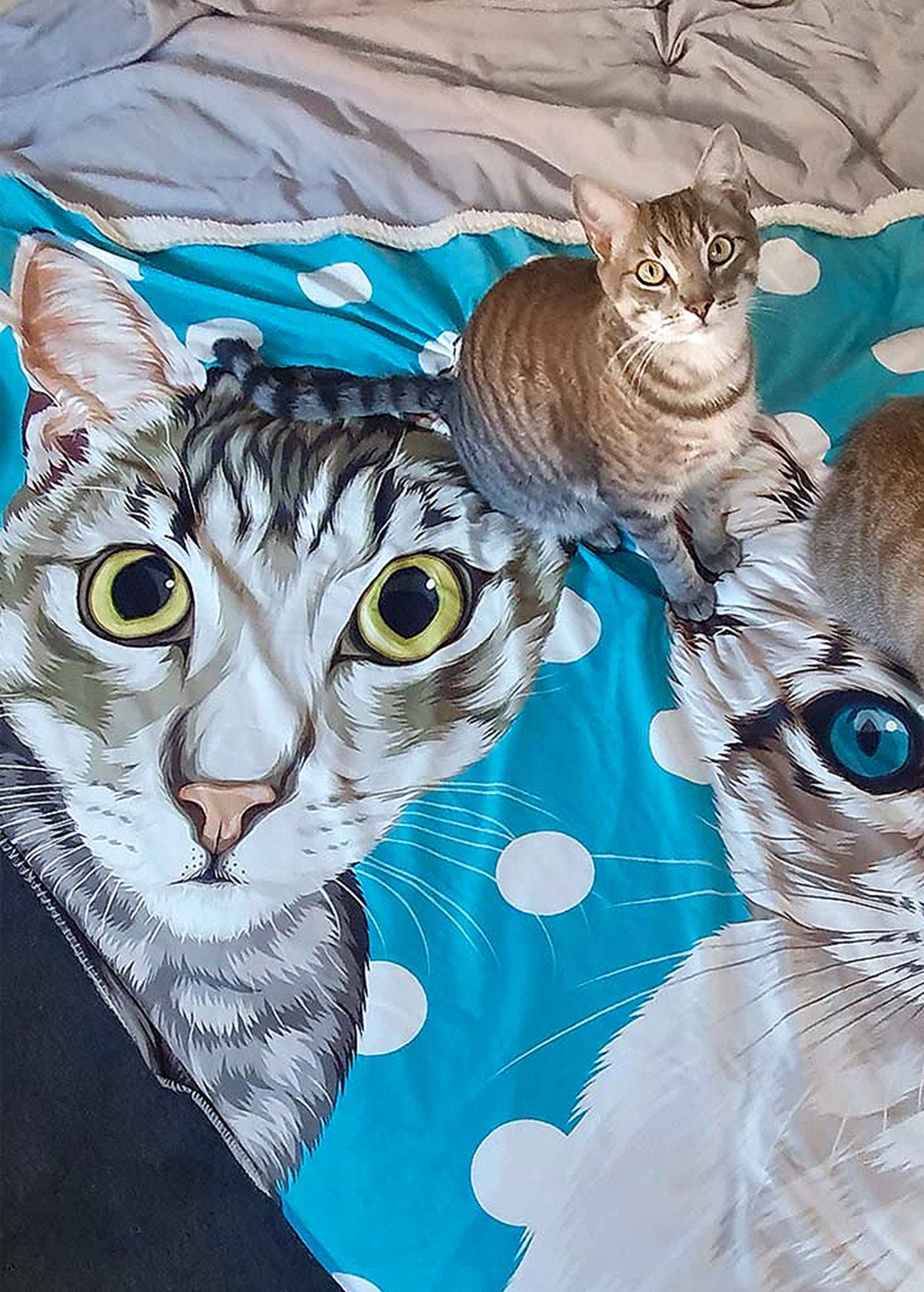 Custom Blanket Orig. Face Art Dog Cat Human Face FACEswag